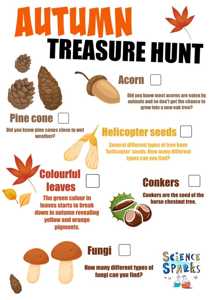 Autumn treasure hunt