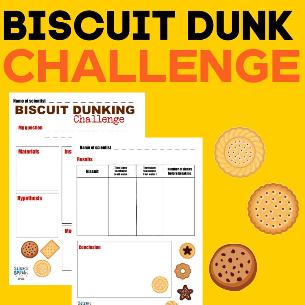 Biscuit dunk STEM challenge