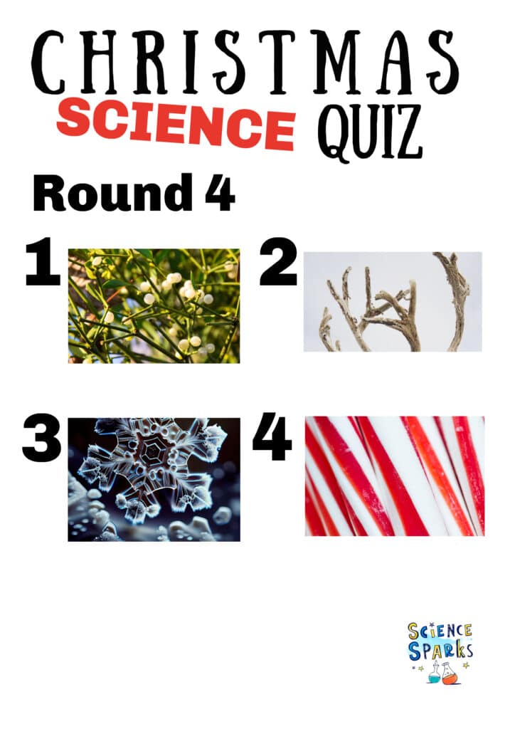 Christmas science quiz
