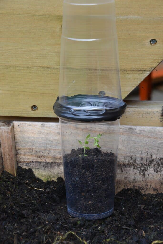Homemade mini greenhouse