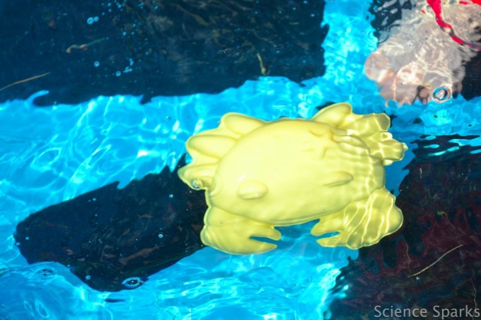 crab sand mould in a pool of water