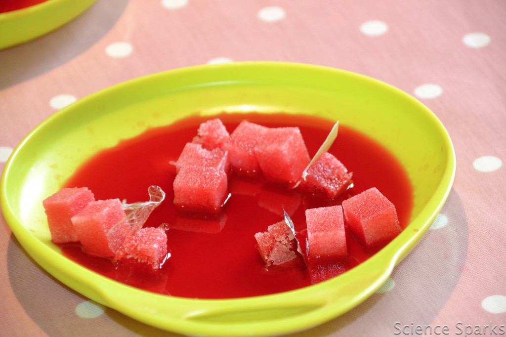 Sugar Cube Science sugar cubes dissolving in red water for an absorbing science experiment