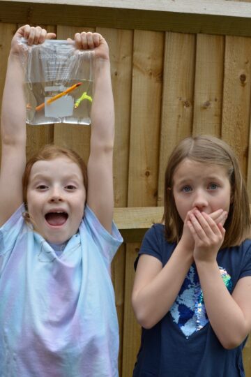 Leak Proof Bag Experiment - Science for kids