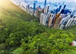 hong kong in sunset