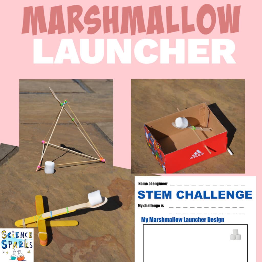 Marshmallow Launcher STEM Challenge