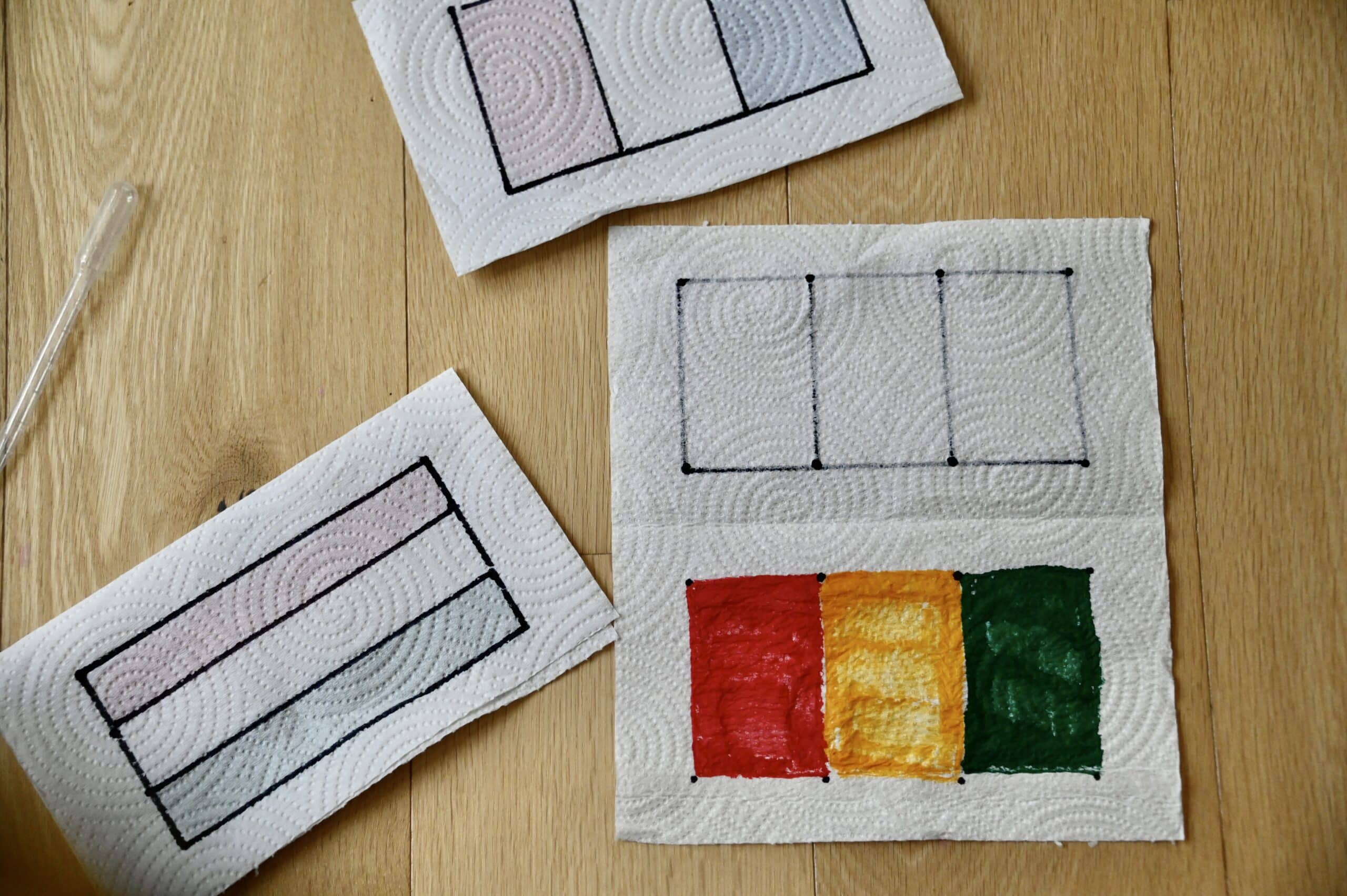 paper towel flag activity