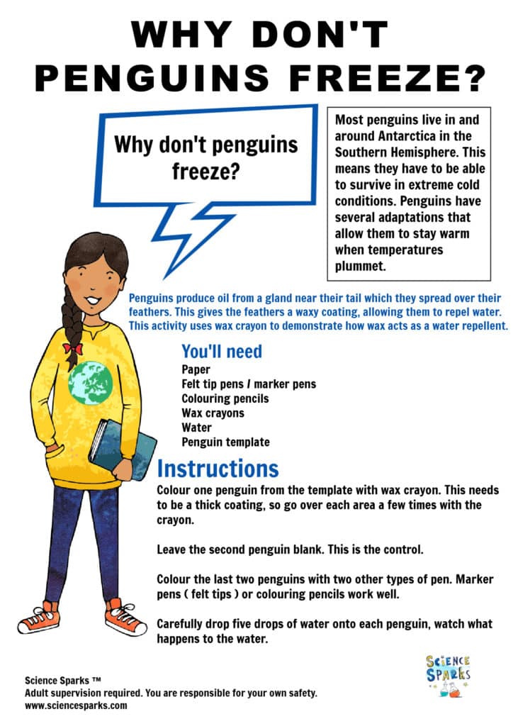 Why don't penguins freeze science activity